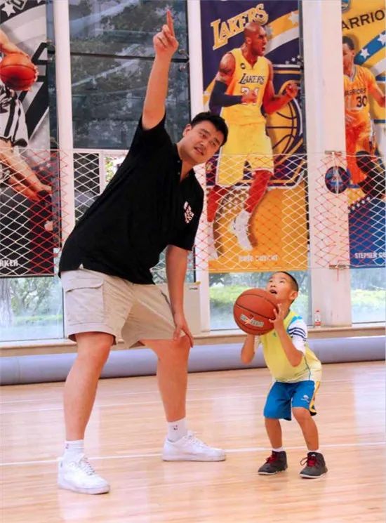 不对阵容进